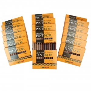 giz cera profissional pintkor